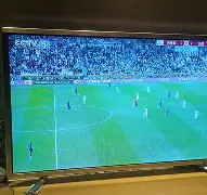 梦幻的夜晚 英文翻译